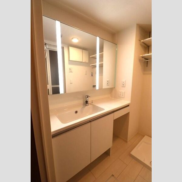 セレスティア東葛西Ⅰ306号室 洗髪洗面化粧台