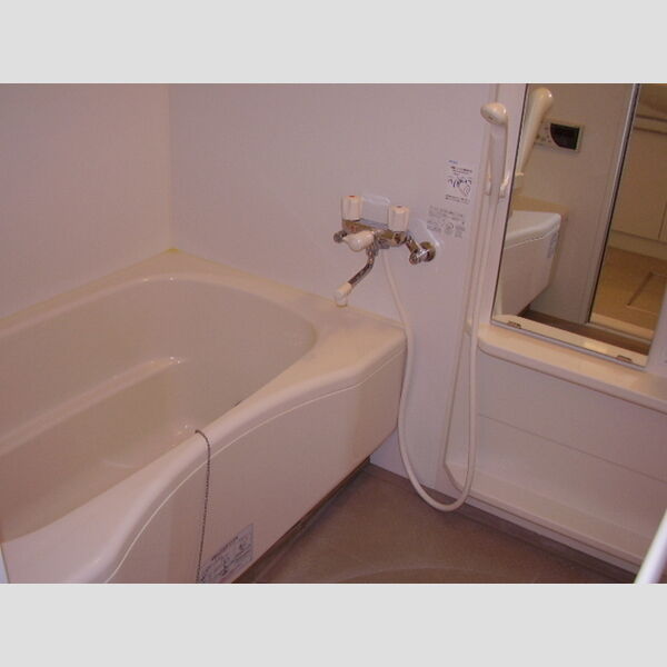 ピアチェボーレ 303　浴室