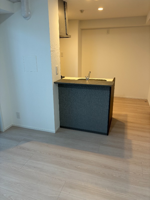 Daiwaグレイスメゾン二子玉川3階 カウンターキッチン（写真205）