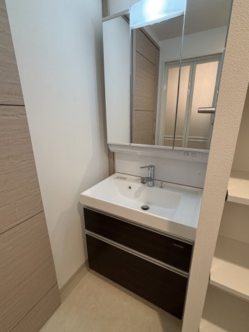 ＬＡＳＡ大崎Ⅴ0203号室 洗面