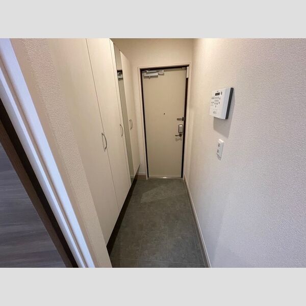 Ark　Bliss六町(アークブリスロクチョウ)301号室 玄関