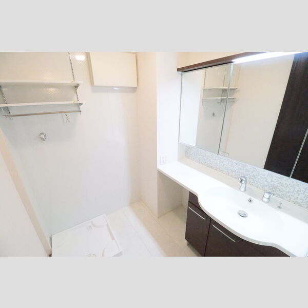 グレイス東大宮103号室 洗髪洗面化粧台