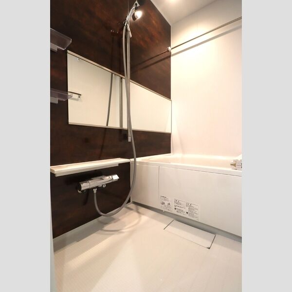 セレスティア小豆沢102号室 バスルーム