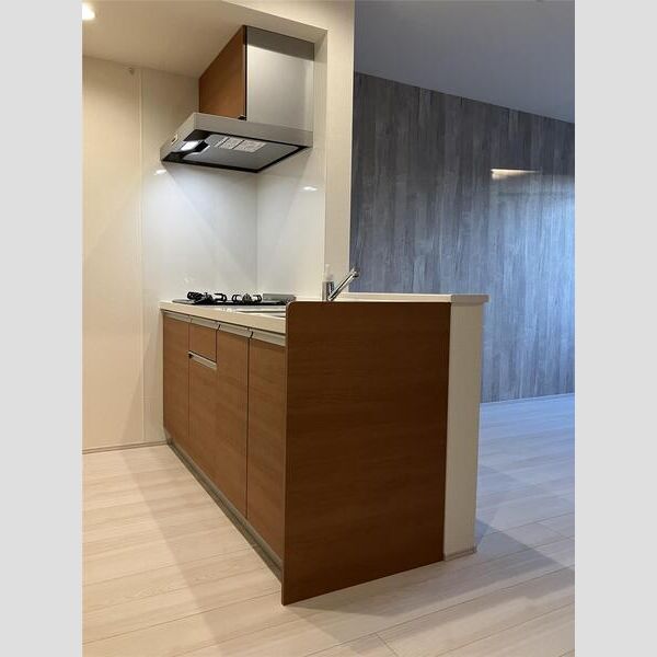 リーブルファイン若葉桜木202号室 キッチン