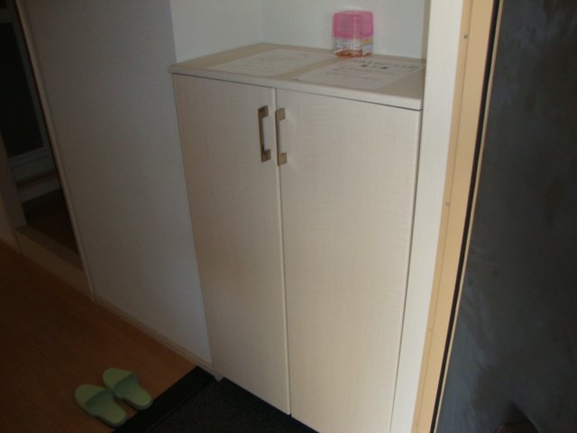 サンレジデンス湘南202号室 シューズボックス