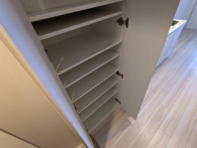 ハーモニーレジデンス蒲田アートヴィラ0312号室 収納