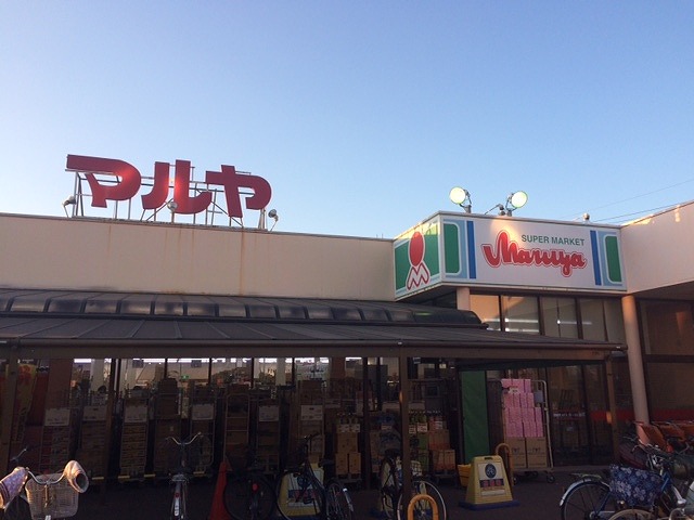 レオパレスプリムローズ 周辺