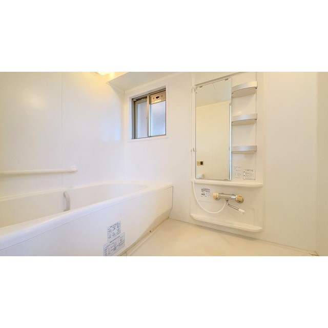 プレシャス　イースト 超広め