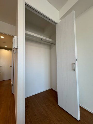 DIPS竹ノ塚駅前601号室 収納