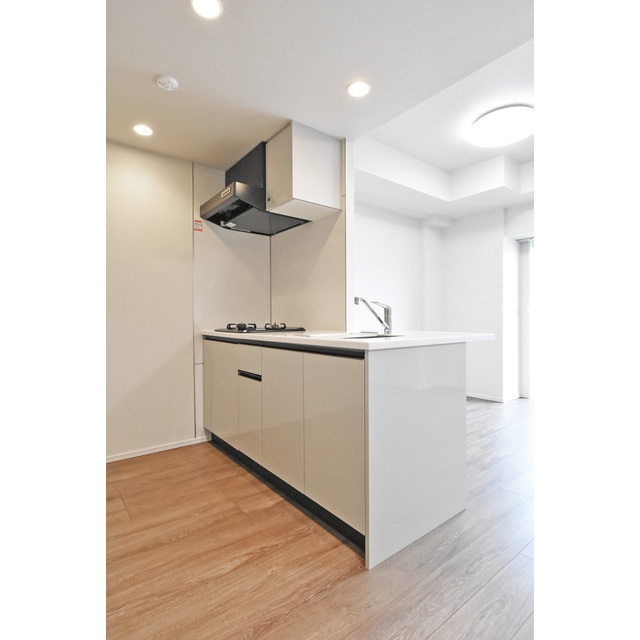 ルネサンスコート上野入谷 キッチン