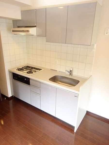 ライフレビュー多摩川204号室 キッチン