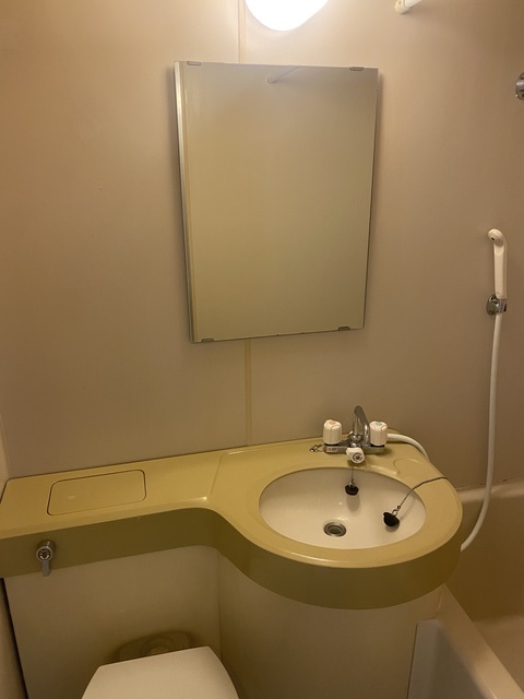 アーバンコア鹿野0605号室 洗面