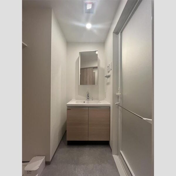 Alivis五反野502号室 洗面