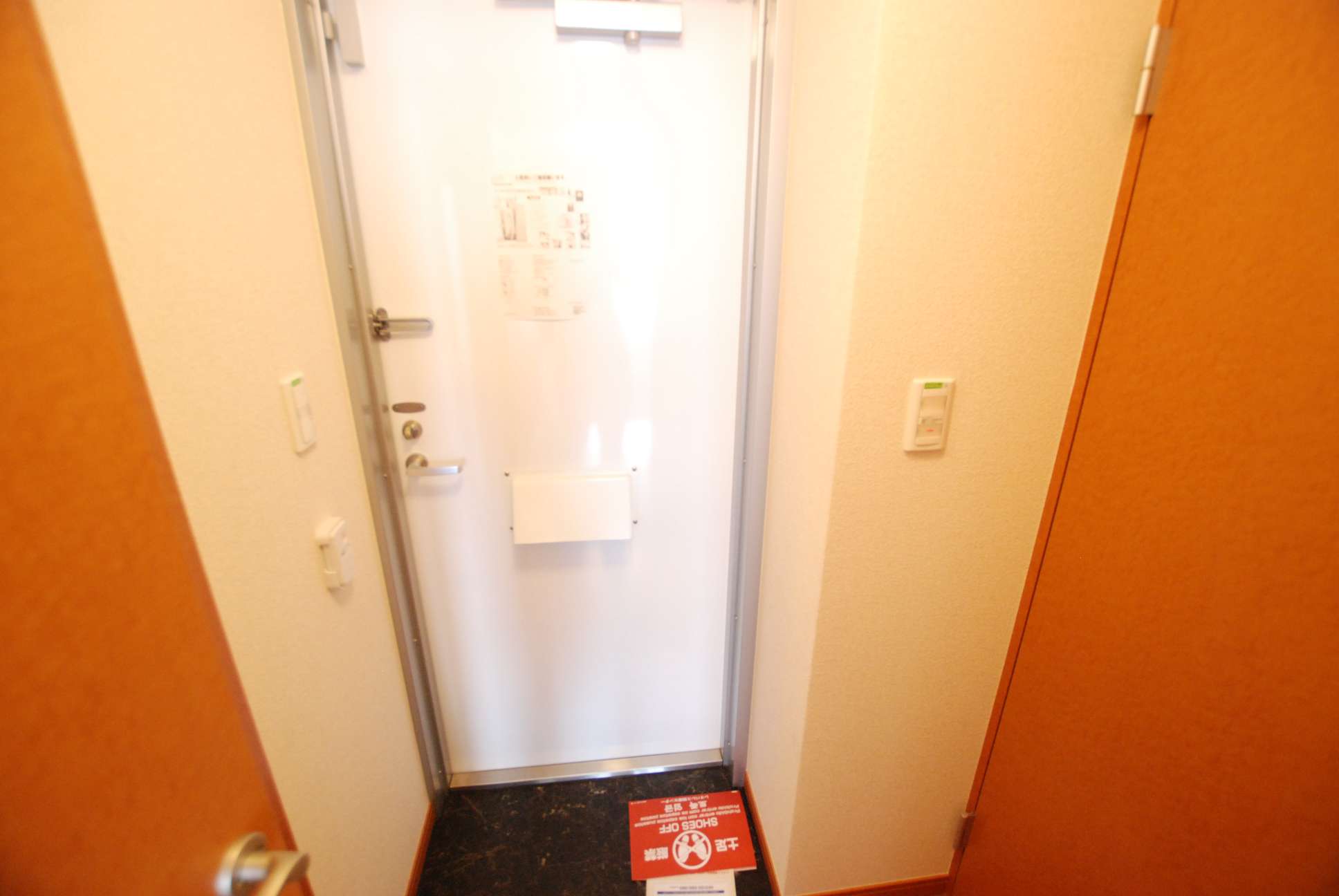 レオパレスミルリーフ203号室 玄関