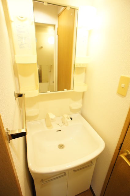 エクセルグランデ高洲0806号室 洗面