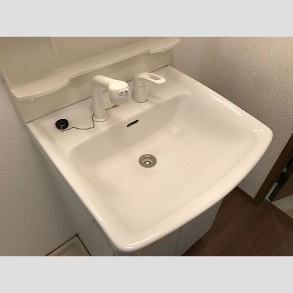 ヴィクトワール　ABB202号室 洗面