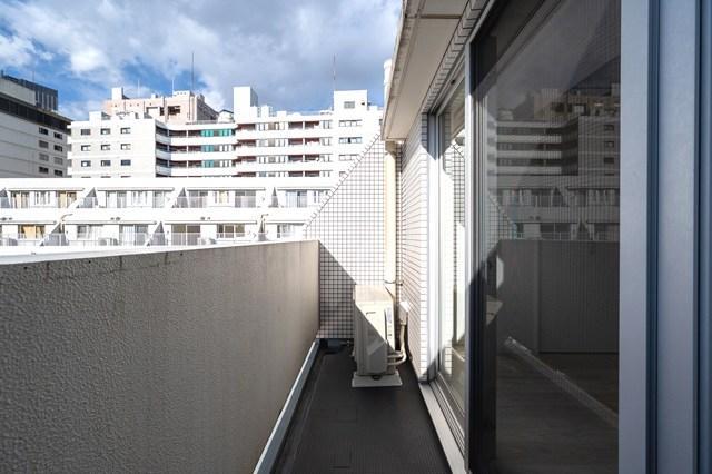 六本木デュープレックスエムズ5階 その他