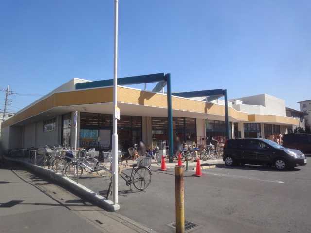 ラヴィーユ　クラ タジマ田島まいすと店まで617ｍ