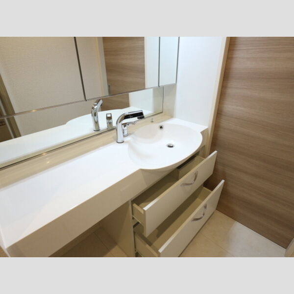 サニーメゾン大野台101号室 シャンプードレッサー