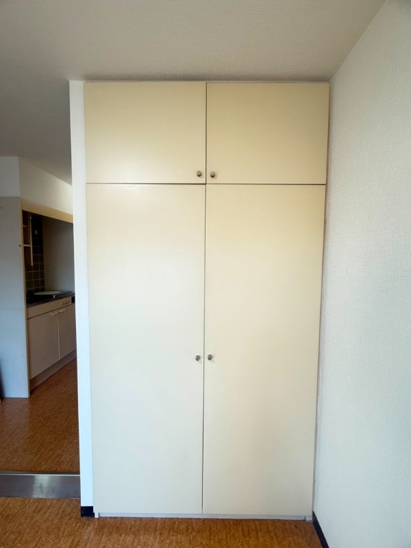 スカイコート矢部3階 収納