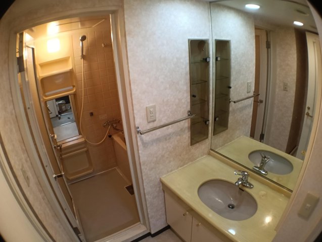 日吉パークホームズ 洗面