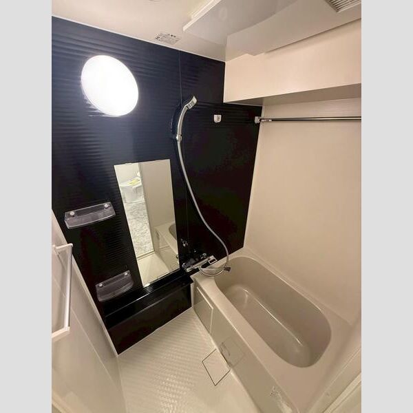 MAXIV ALIVE堀切菖蒲園205号室 洗面