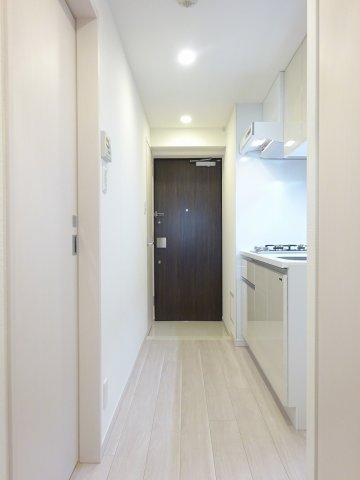 ザ・レジデンス・オブ・トーキョーＫＫ０６403号室 玄関