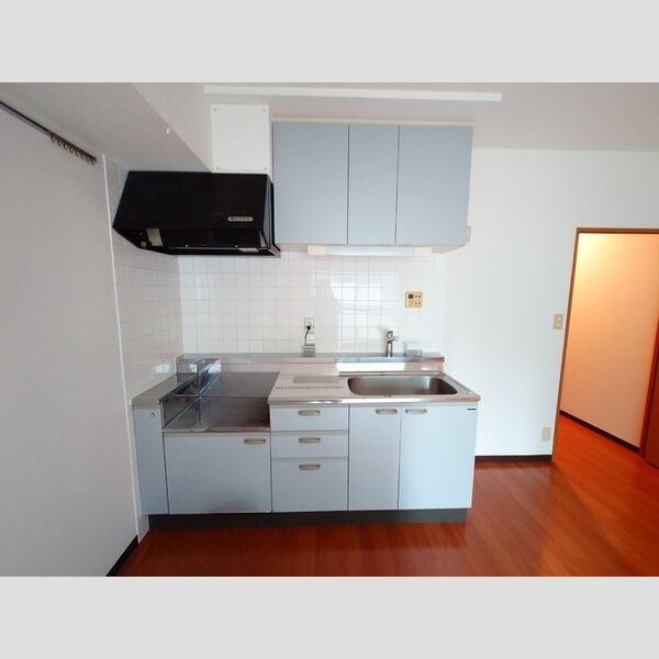 パルメゾン　ピエル キッチン