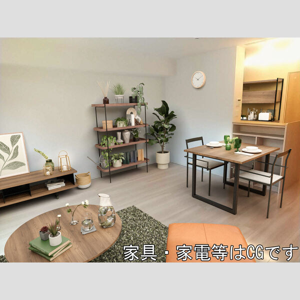 ダイヤモンド ミスト102号室 家具/家電はCGです