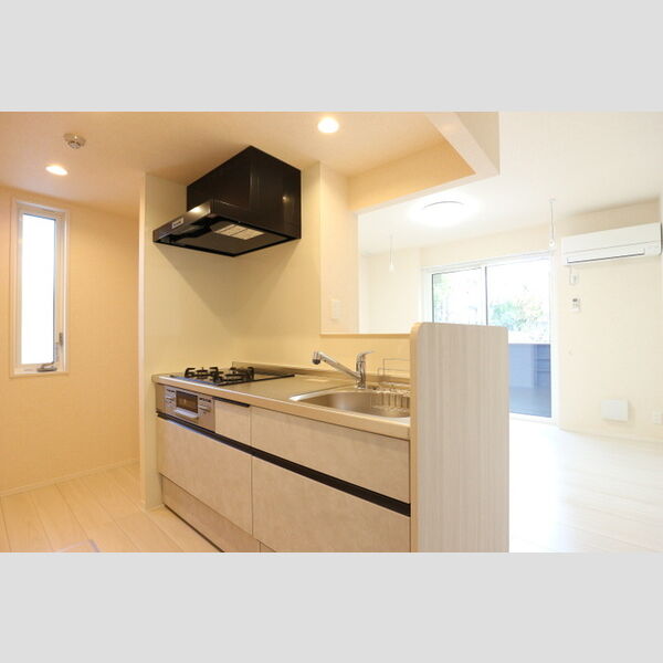 Dear Life101号室 システムキッチン
