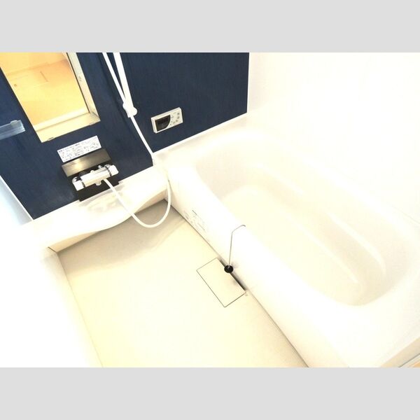 グランドゥール201号室 お風呂