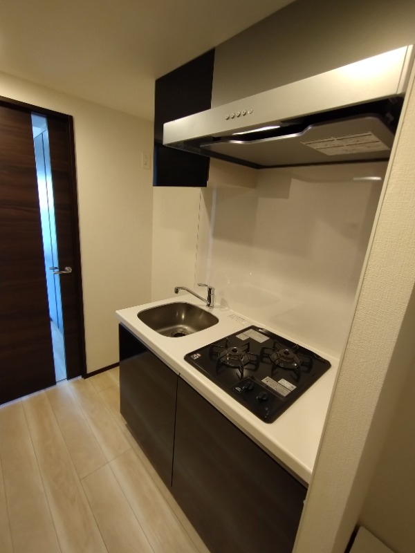 GENOVIA新宿早稲田green veil キッチン