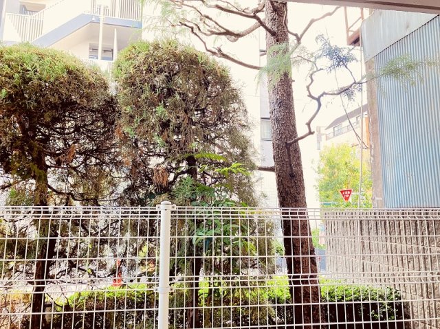 プライムアーバン新宿落合102号室 ※2025年10月リニューアル後撮影