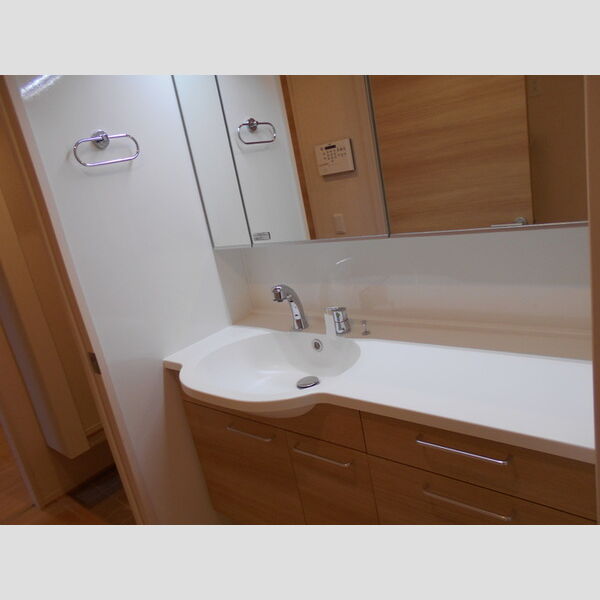 ロイジェントパークス草加手代　B306号室 洗髪洗面化粧台