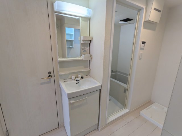 ブロッサムテラス下丸子203号室 洗面
