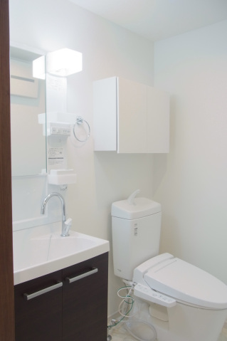 ルクール平和台201号室 洗面