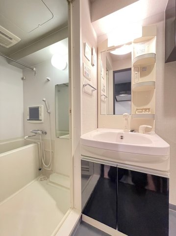 グラントゥルース田端501号室 洗面