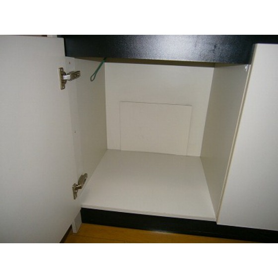 アセット・デーク0203号室 シンク下段収納