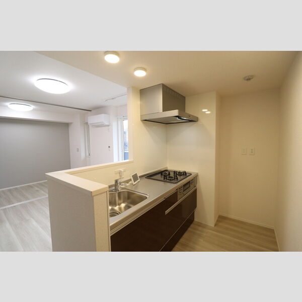 N・D-ROOM IIDACHOU　A棟102号室 対面キッチン