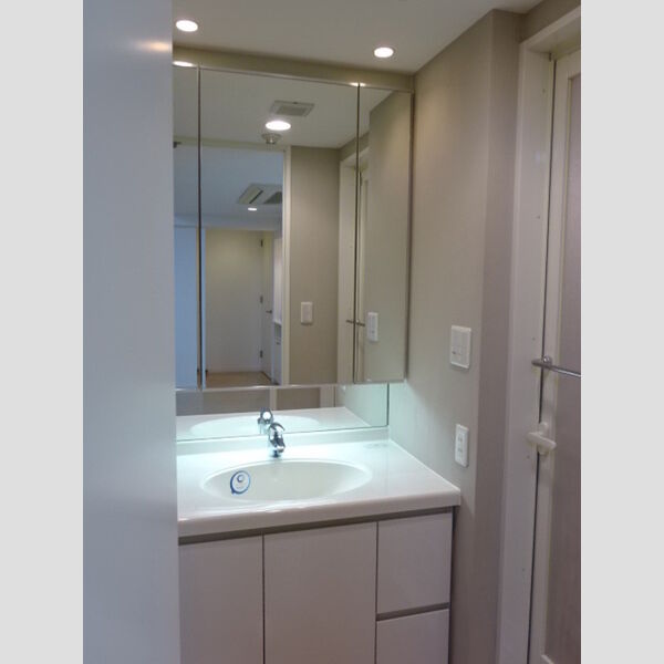 カスタリアお茶の水0201号室 洗面