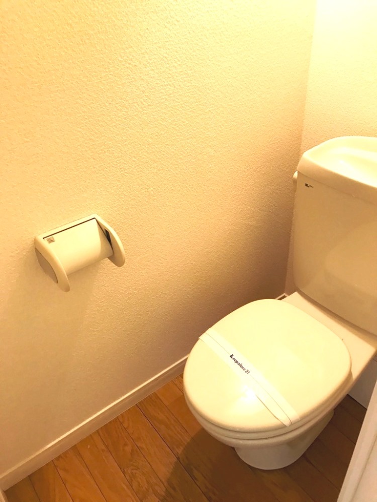 レオパレスグリーンヒル204号室 ロフト