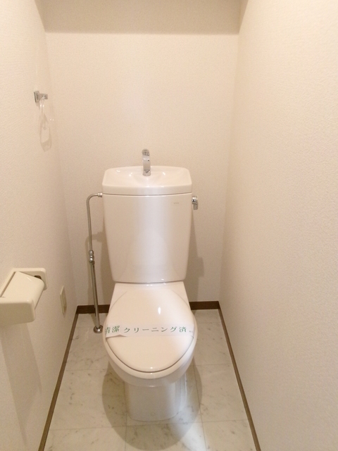 ＮＴ　ＣＯＵＲＴ0405号室 トイレ