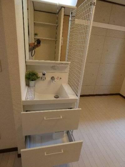 グランデュール白楽202号室 独立洗面化粧台