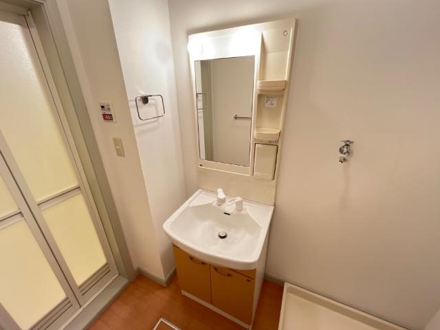 エクセルハイム102号室 洗髪洗面化粧台