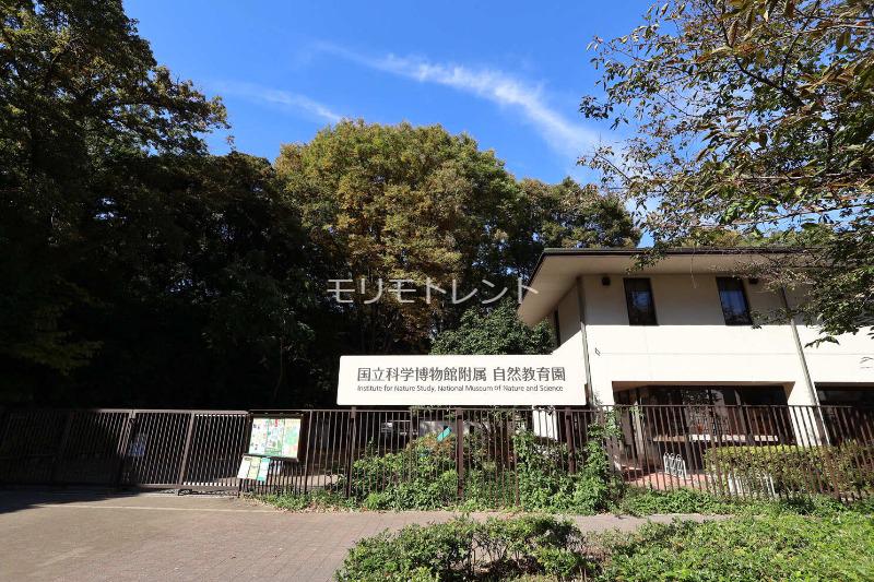 イプセ白金台3階 国立科学初物館付属 自然教育園