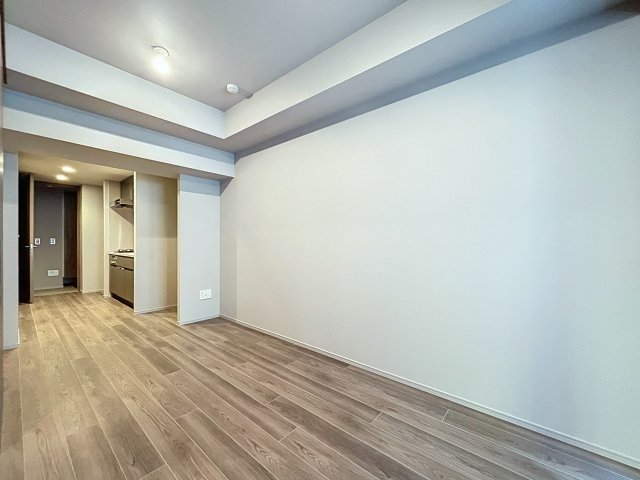 ピアース銀座レジデンス4階 リビング