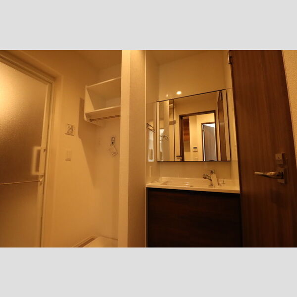 ディーエスペランサ101号室 洗面所