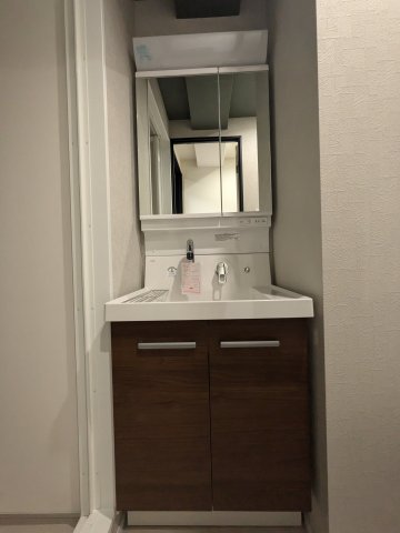 アリカ大森10405号室 洗面