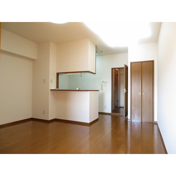 ＹＡＹＯＩ　ＣＯＵＲＴ0901号室 カウンターキッチン