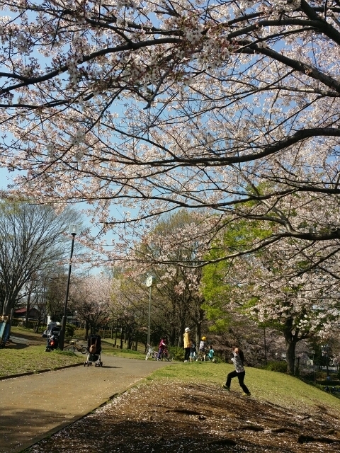 クレサンテーム0205号室 千津ふれあい公園